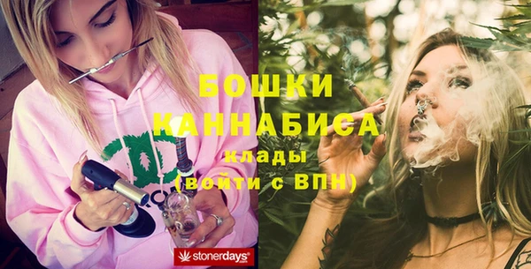 спиды Ладушкин