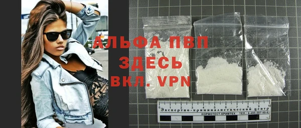 спиды Ладушкин